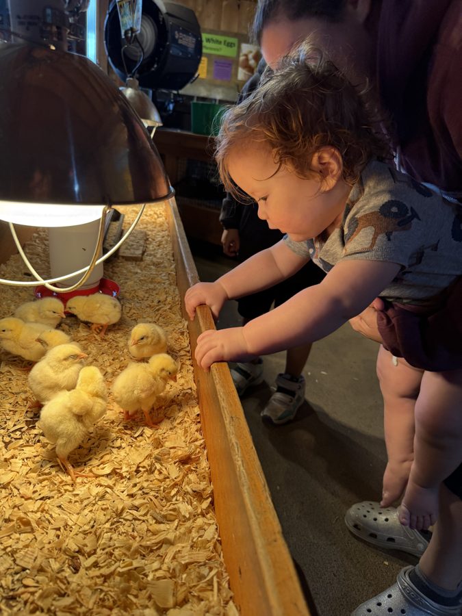 Cherry Crest Adventure Farms