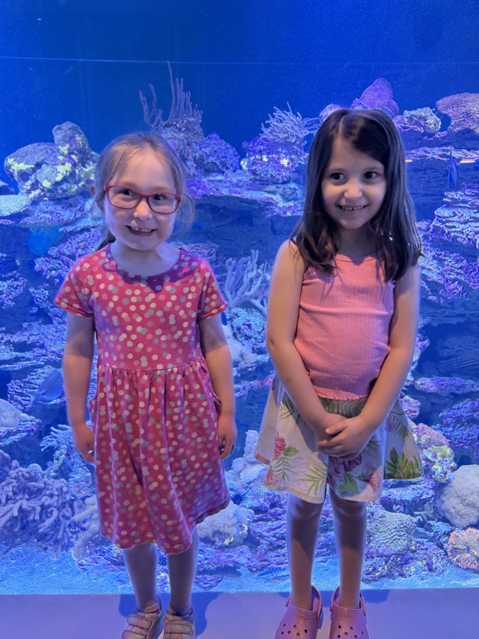 Aquarium