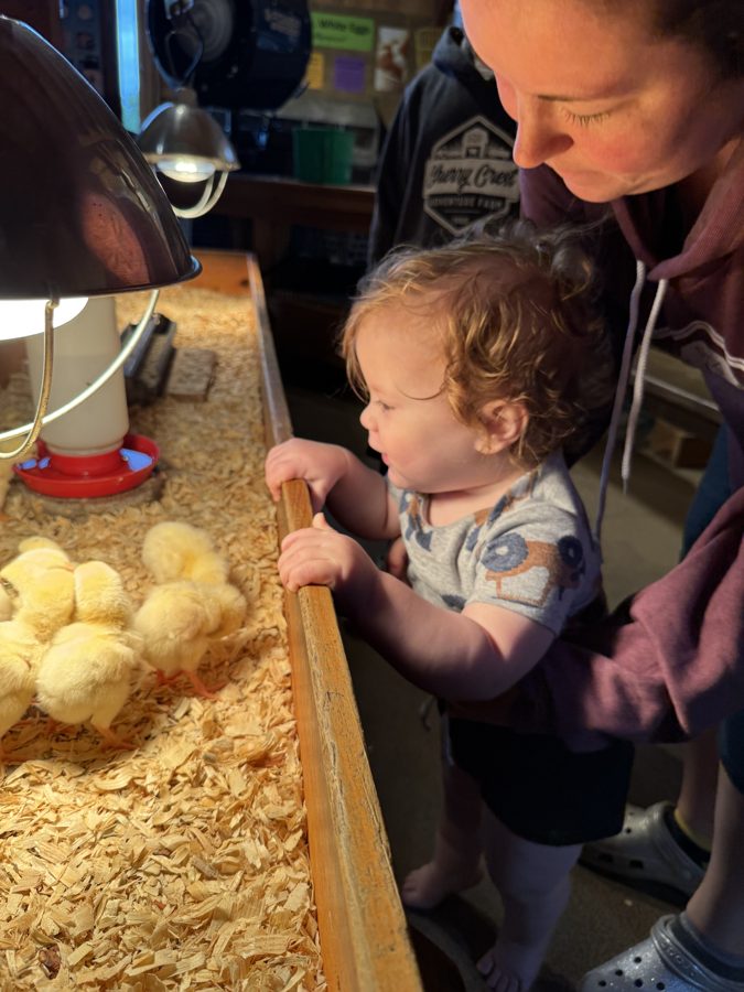 Cherry Crest Adventure Farms