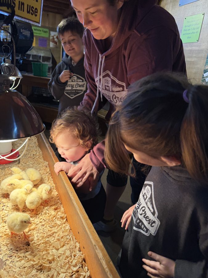 Cherry Crest Adventure Farms
