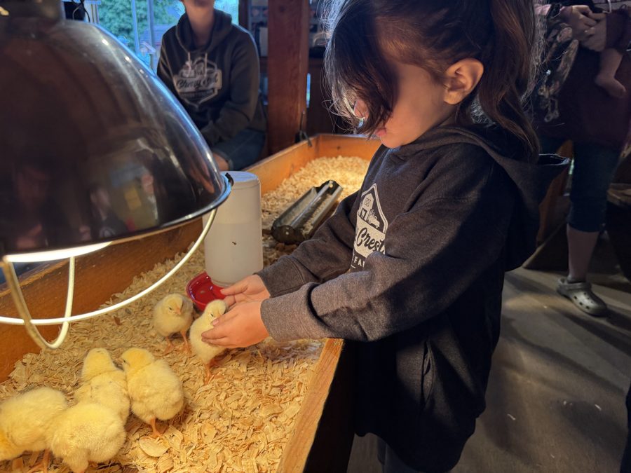 Cherry Crest Adventure Farms