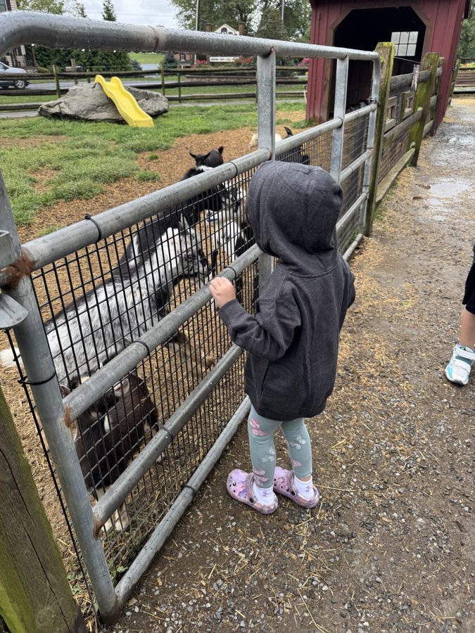 Cherry Crest Adventure Farms