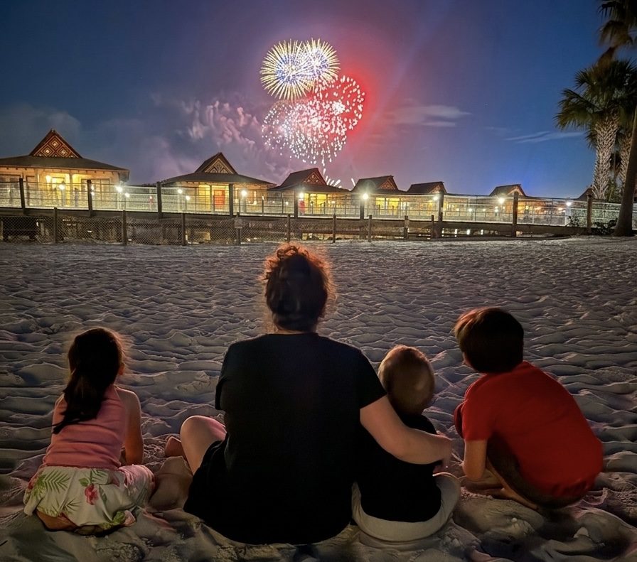 Fireworks At Disney