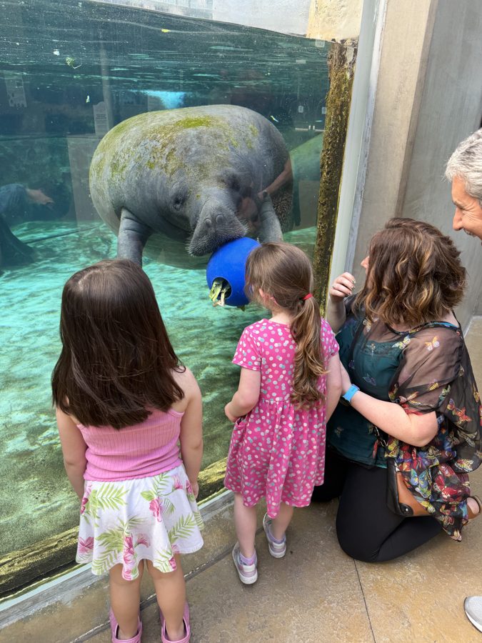 Aquarium