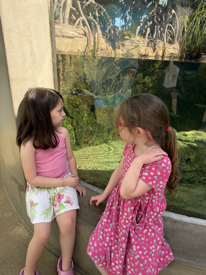 Aquarium