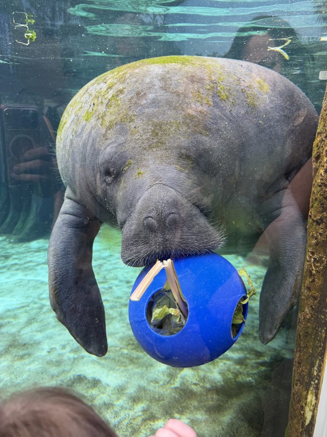Aquarium