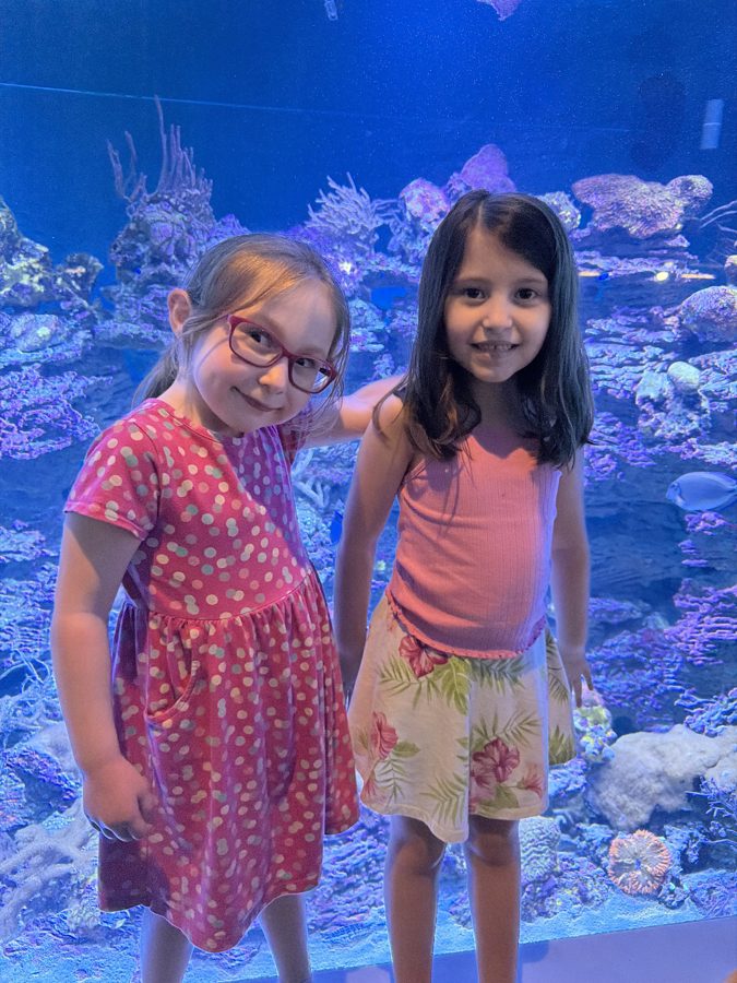 Aquarium