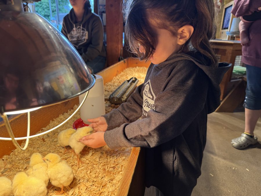 Cherry Crest Adventure Farms