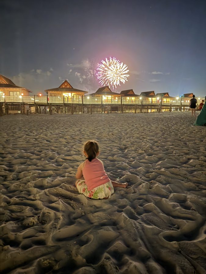 Fireworks At Disney