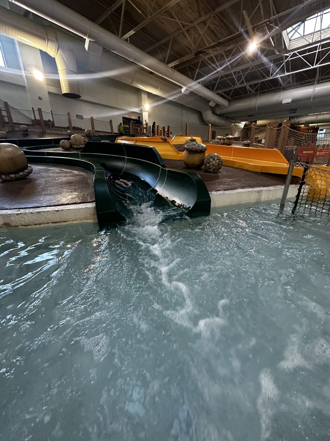 Great Wolf Lodge