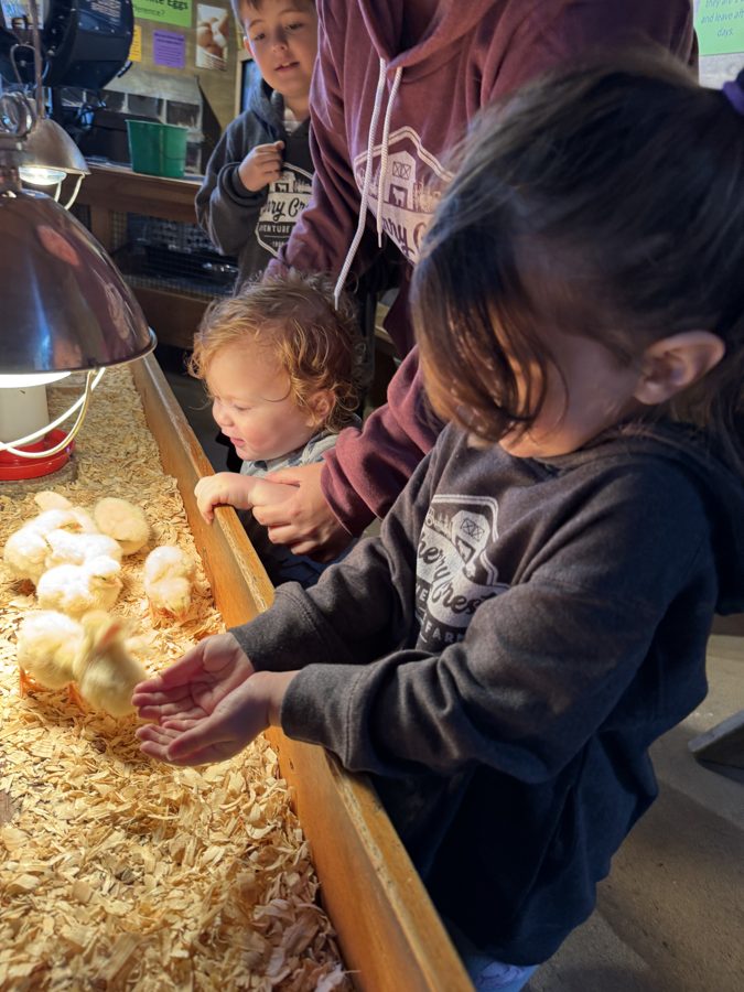Cherry Crest Adventure Farms