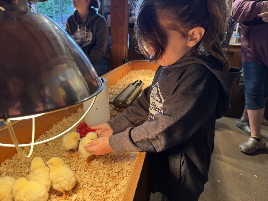 Cherry Crest Adventure Farms