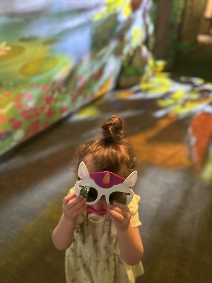 Great Wolf Lodge
