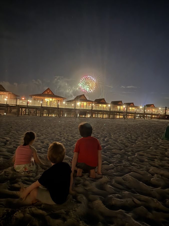 Fireworks At Disney