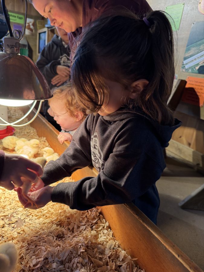 Cherry Crest Adventure Farms