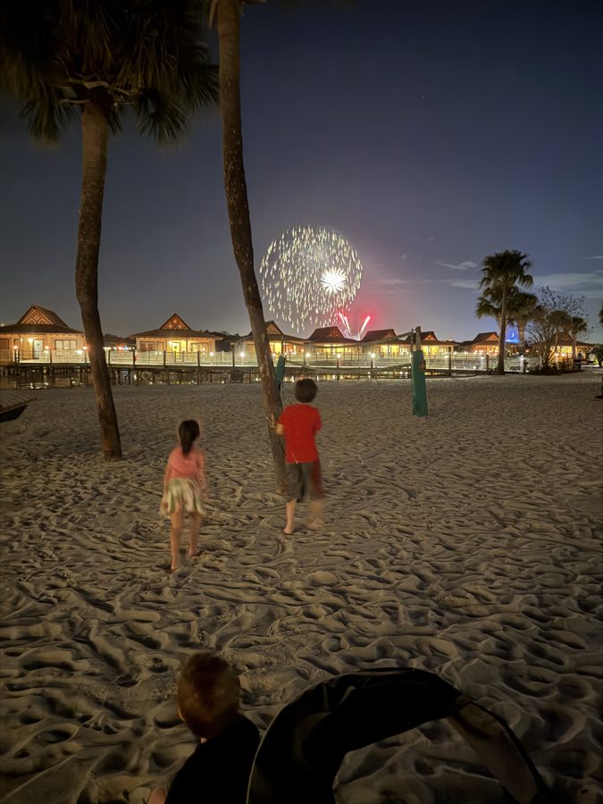 Fireworks At Disney