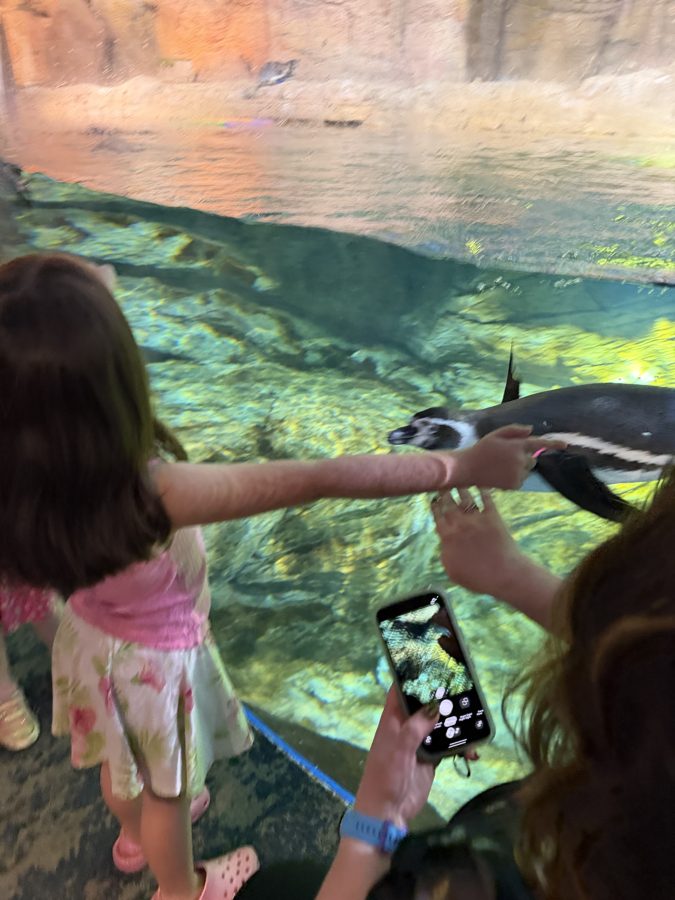 Aquarium