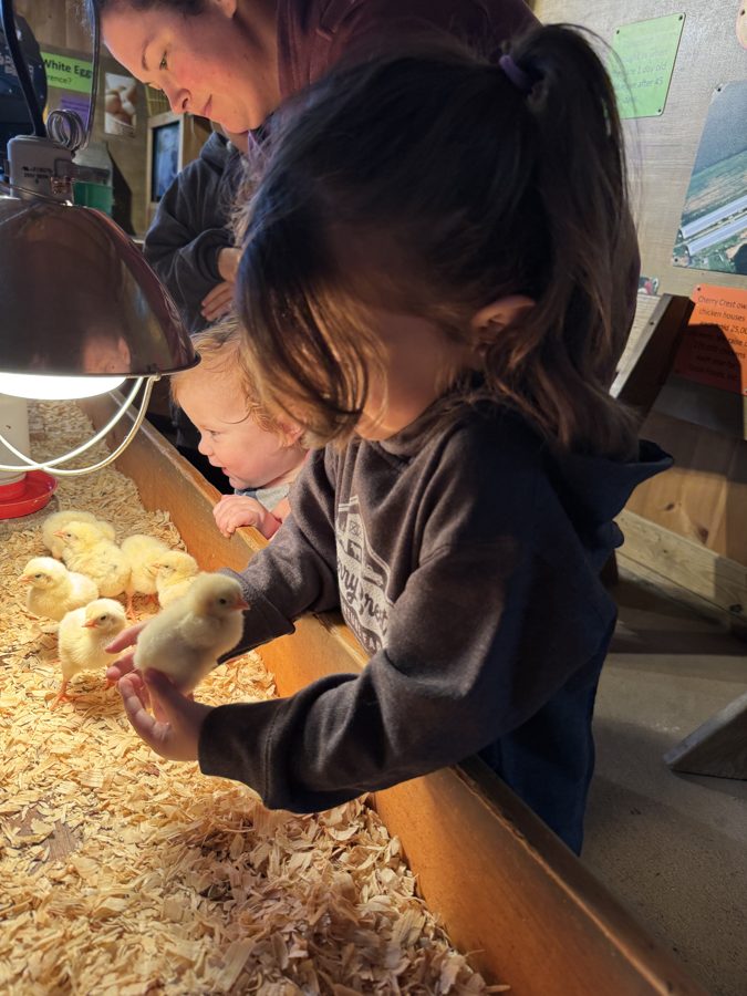 Cherry Crest Adventure Farms