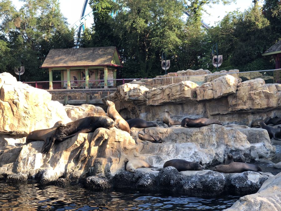 Disney