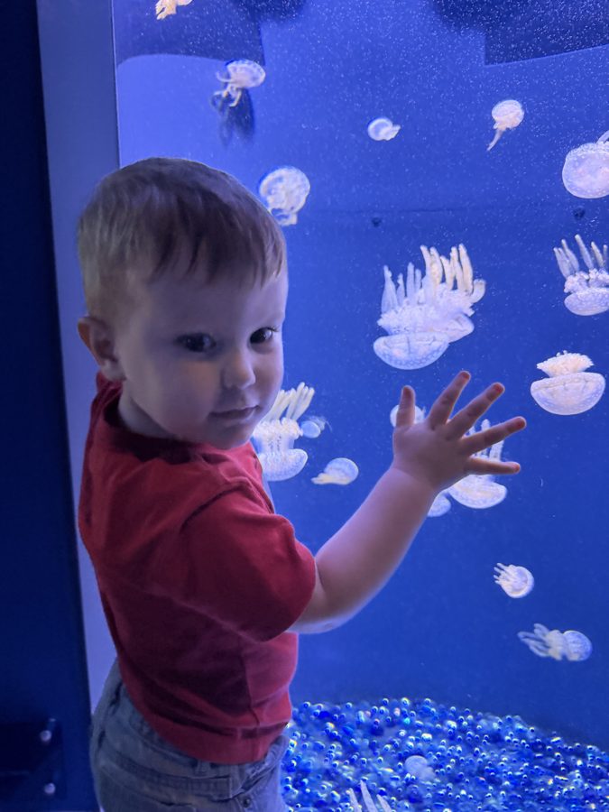 Aquarium