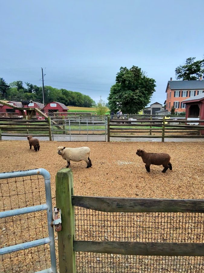 Cherry Crest Adventure Farms