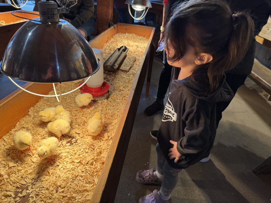 Cherry Crest Adventure Farms
