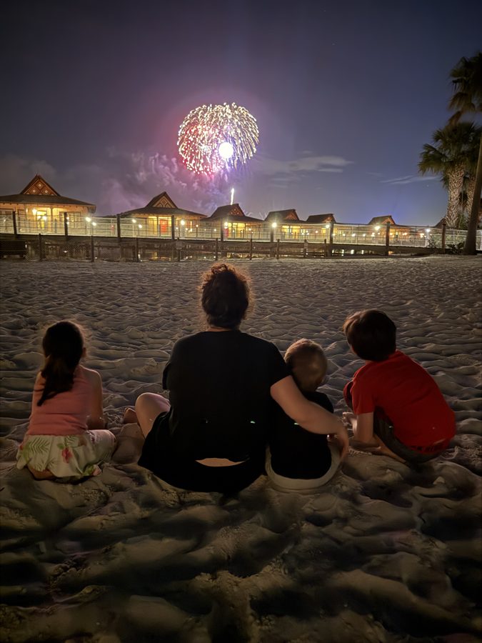 Fireworks At Disney