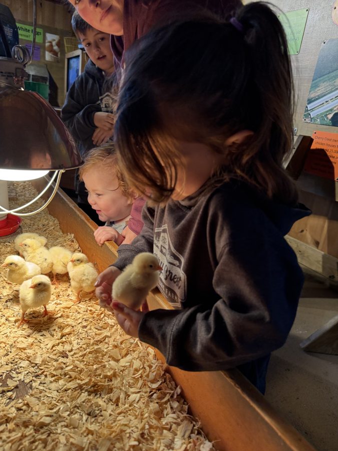 Cherry Crest Adventure Farms