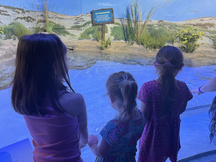 Aquarium