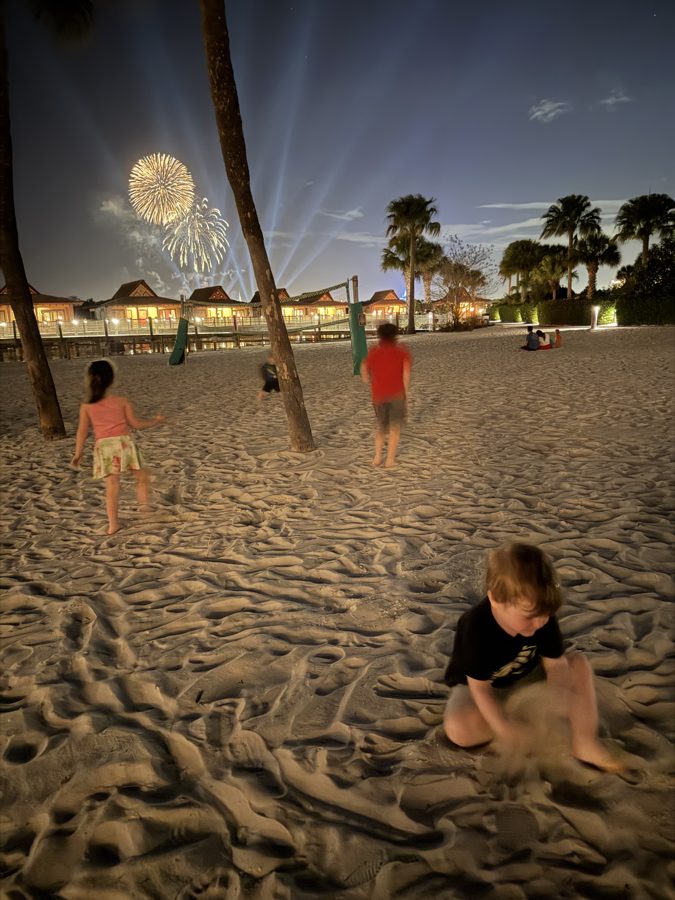 Fireworks At Disney