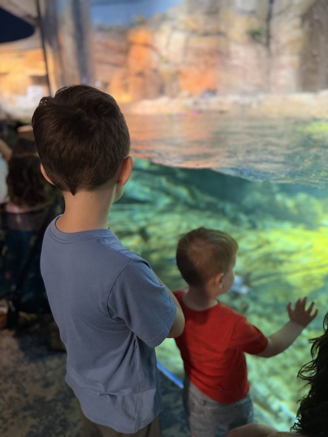 Aquarium