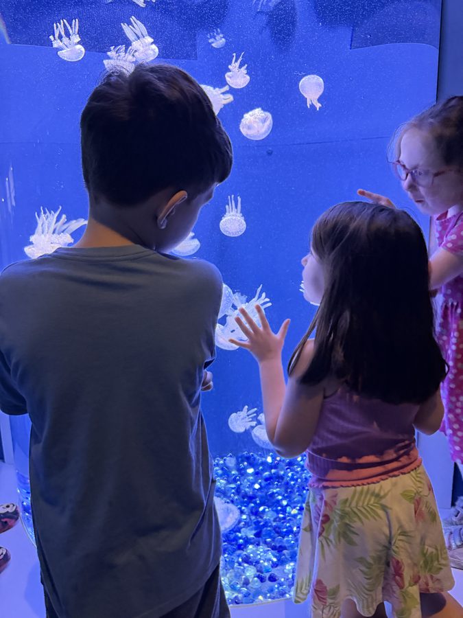 Aquarium with the Ludwigs