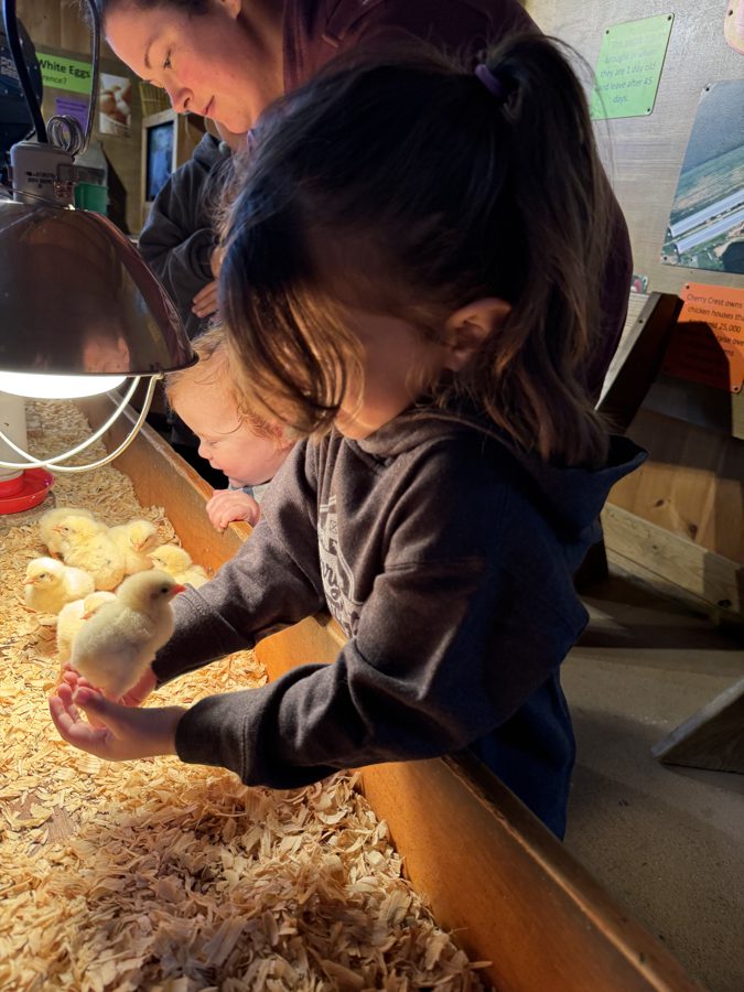 Cherry Crest Adventure Farms
